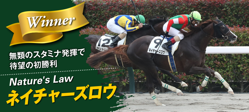 ヒダカブリーダーズユニオン　競馬勝負服 ヒダカ・ブリーダーズ・ユニオンのプロフィール | 馬主データ