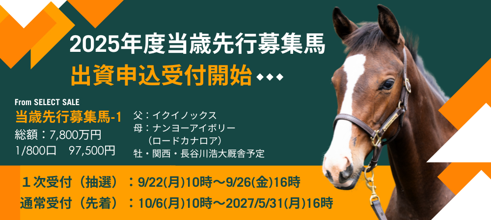 2005年 社台オーナーズ 馬主限定品 社台オーナーズクラブ 2005年 社台オーナーズ 馬主限定品 社台オーナーズクラブ 2025年