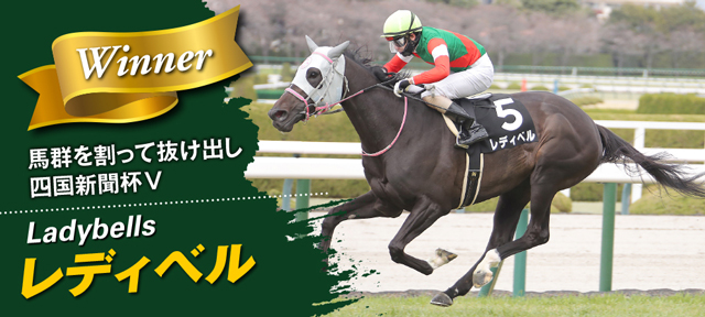 競馬 勝負服 ヒダカ・ブリーダーズ・ユニオン