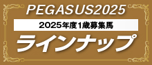 ペガサス2025ラインナップ